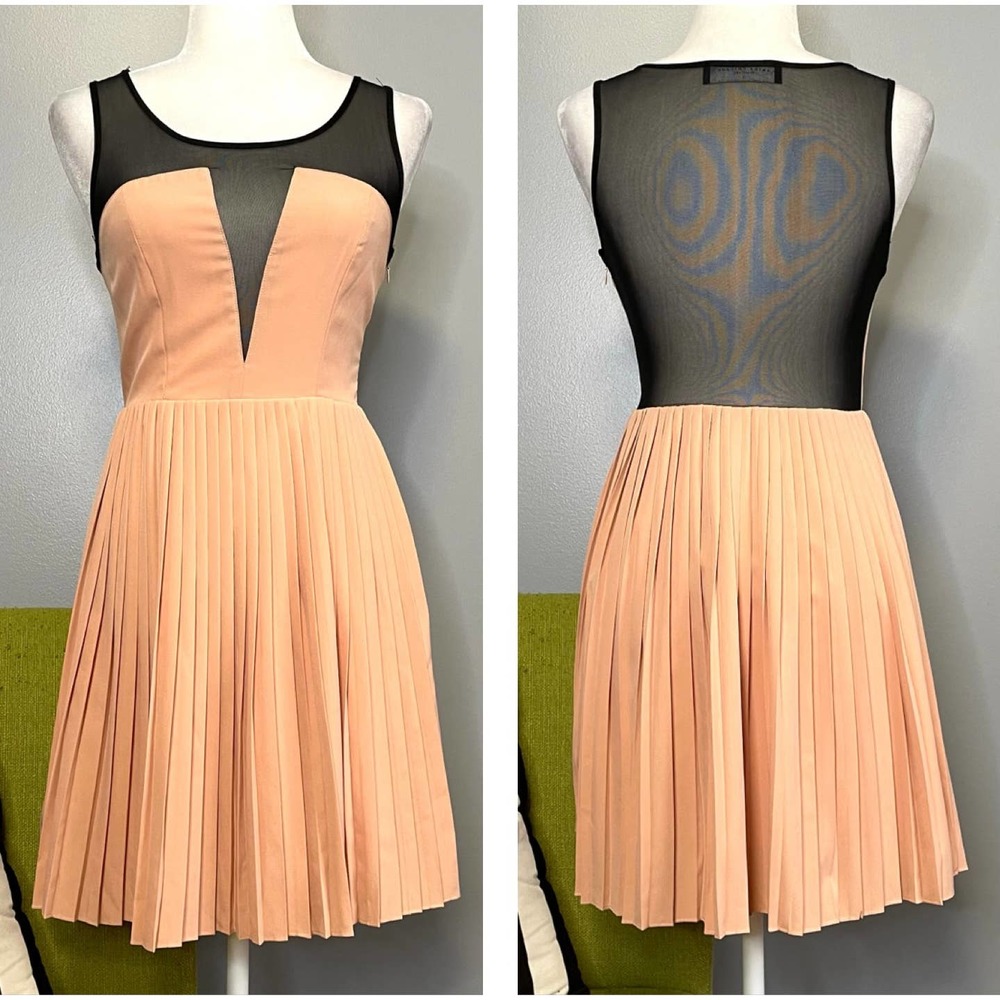 Akira Chicago Blush Chiffon & Black Mesh Pleated Fit and Flare Mini Dress